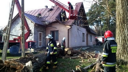Drzewo zniszczyło budynek mieszkalny w Bliznem