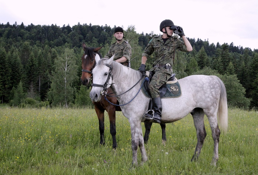 Pogranicznicy z Bieszczad jako jedyni w Polsce w ochronie granicy wykorzystują konie służbowe