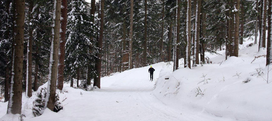 Pora wyjąć narty: Znakomite warunki narciarskie na Podkarpaciu