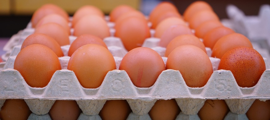 INTERMARCHÉ stopniowo wycofuje z obrotu jaja z chowu klatkowego