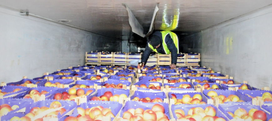Afgańczycy ukryci w transporcie jabłek nielegalnie przekroczyli granicę [ZDJĘCIA]
