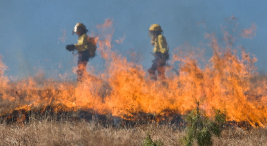 Groźne pożary traw - policjanci będą surowo karać sprawców