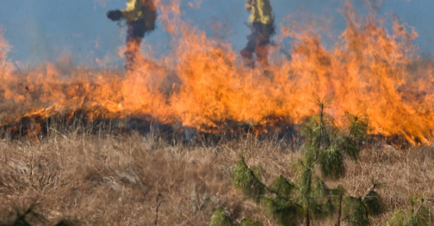 Pożar traw w Sokołowie Małopolskim. Podczas akcji gaśniczej strażacy znaleźli zwłoki 84-letniego mężczyzny