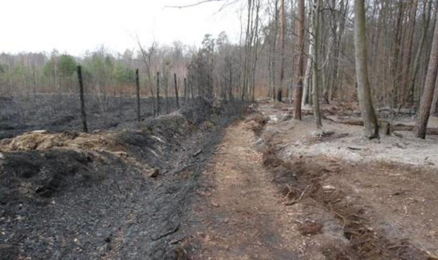Rośnie zagrożenie pożarowe w podkarpackich lasach