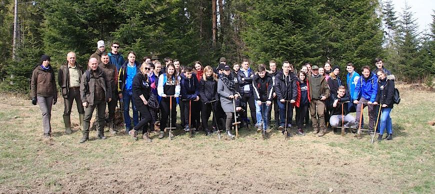 Studenci sadzili las w Bieszczadach [ZDJĘCIA]