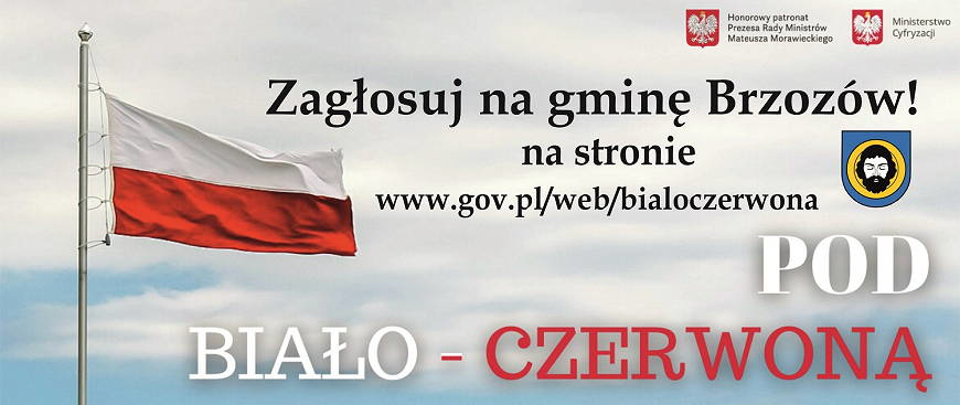 Maszt i flaga dla gminy Brzozów! Zagłosuj