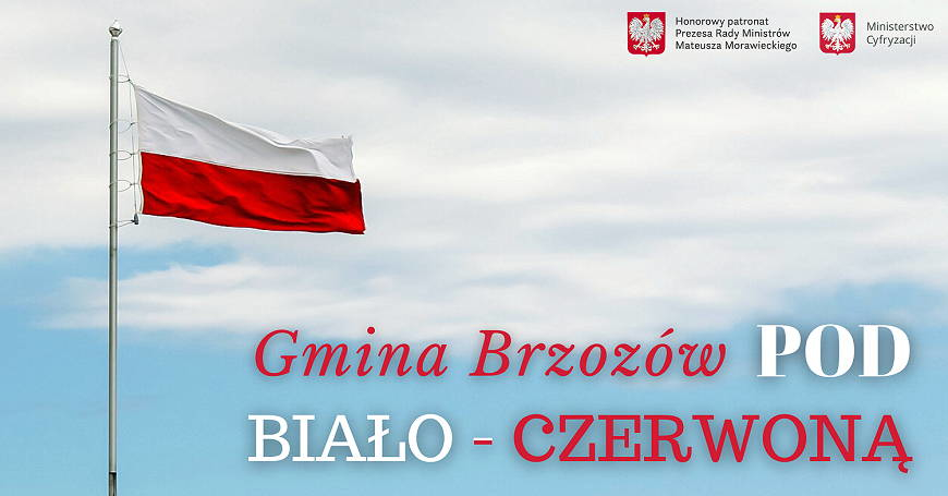 Maszt i flaga dla gminy Brzozów! Zagłosuj