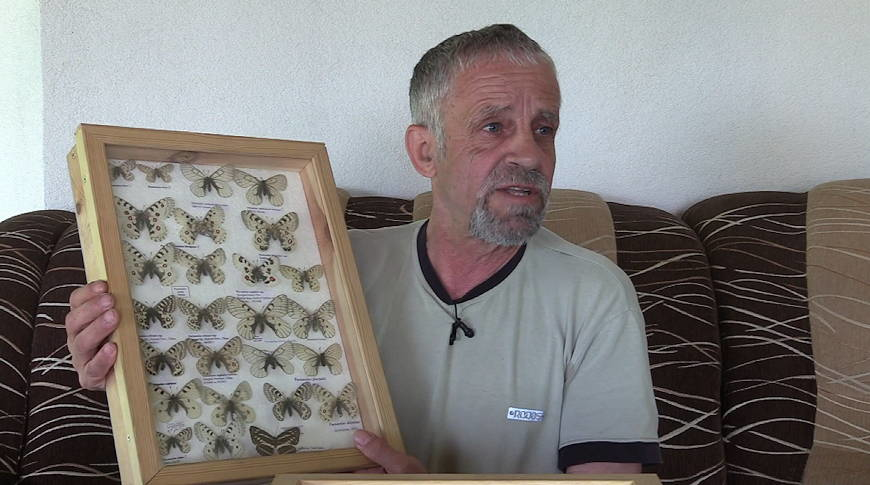 Rozmowa z Edwardem Buczkiem z Przysietnicy, kolekcjonerem motyli