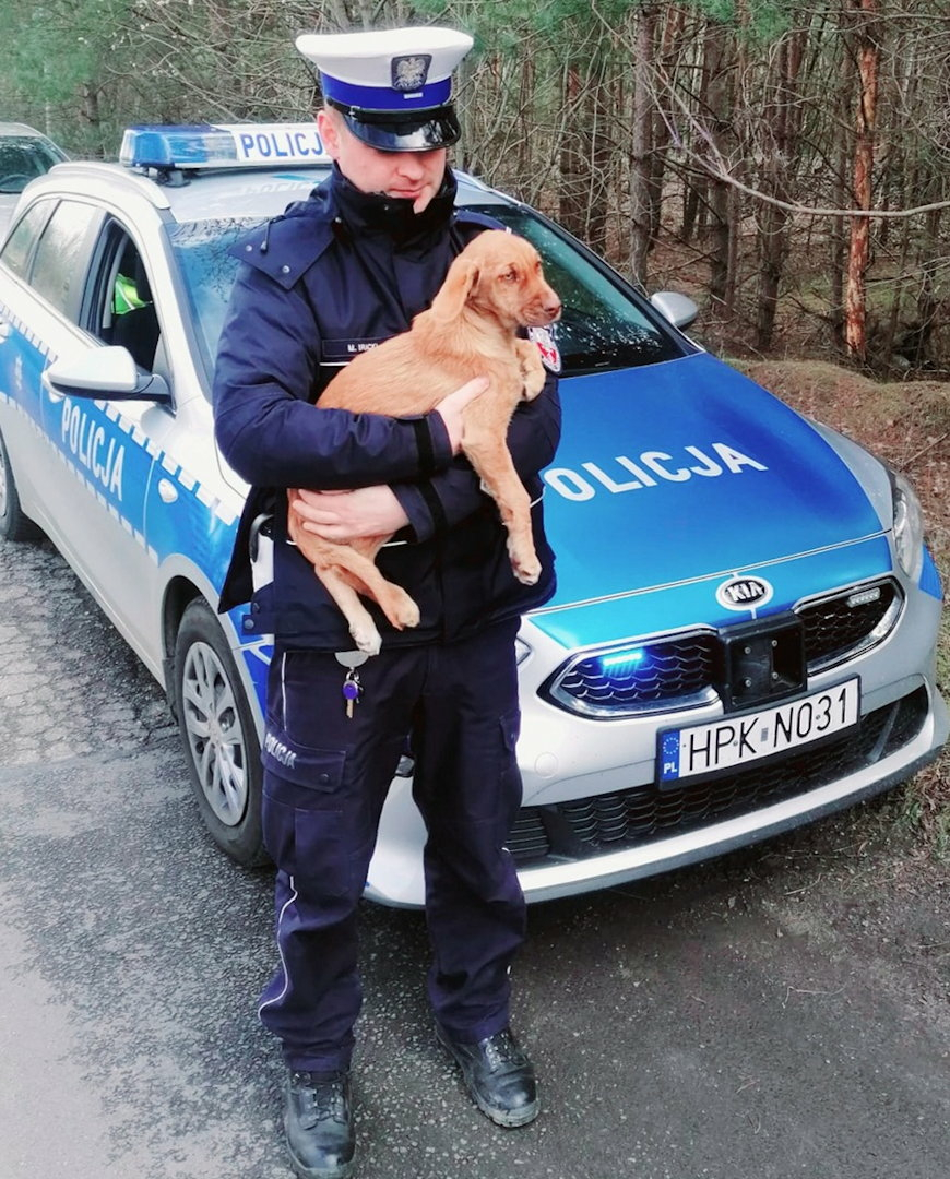 Policjanci pomogli porzuconemu psu [ZDJĘCIA]