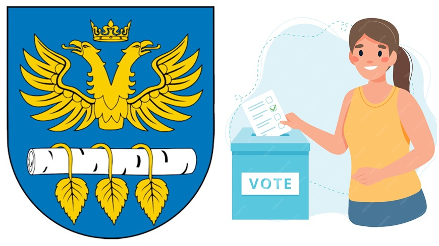 Wybory do Młodzieżowej Rady Powiatu Brzozowskiego I Kadencji